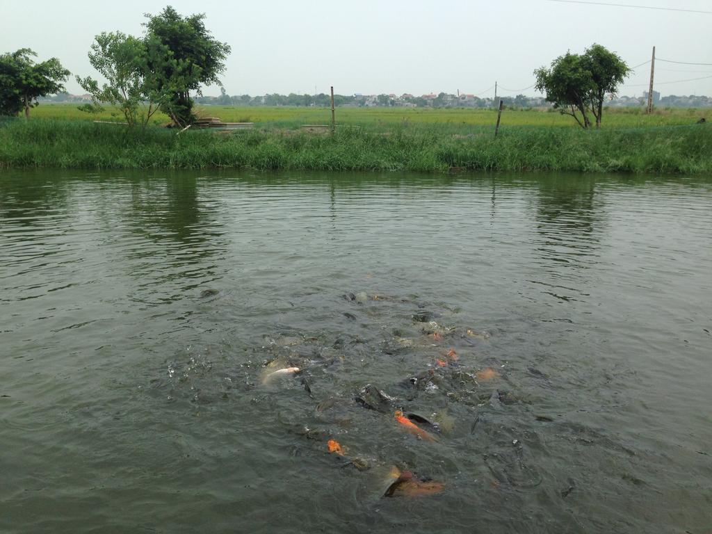 Tam Coc Homestay ニンビン エクステリア 写真