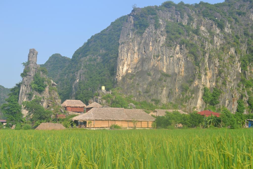 Tam Coc Homestay ニンビン エクステリア 写真