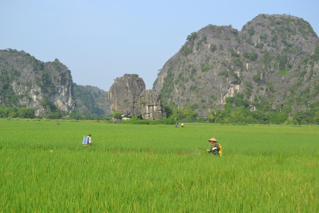 Tam Coc Homestay ニンビン エクステリア 写真