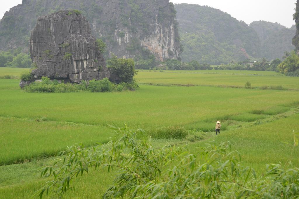 Tam Coc Homestay ニンビン エクステリア 写真